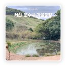 문수사 목조여래좌상 | 서산 가볼만한 곳 은목서 향이 머무는 곳, 서산 문수사 이야기