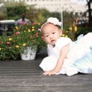 라희맘님 대전해피포토에 돌스냅촬영문의주신 내용 답변드렸습니다 대전돌스냅,대전아기사진,대전출장스냅,대전돌사진,대전야외촬영,웨딩스냅,본식스냅,아기모델 이미지