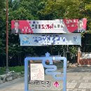 랑투 | 부산 해리단길 소품샵 투어 | 직접 다녀온 3곳 후기