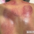 사파동162 이미지