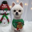 앨리스동물병원 이미지