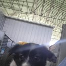 석근2길 이미지