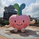강화별밤거리 | 강화도 별밤야행 후기