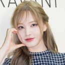 리즈백스킨