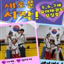 베스트태권도 이미지