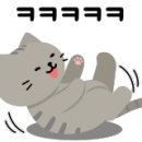 삼희어린이집 이미지