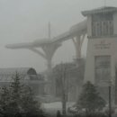 중앙종묘농약사 이미지