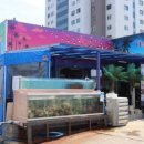 상리상회 이미지