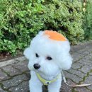 행복한 유치원 이미지