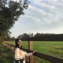 하림목장 이미지