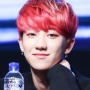 명호 Daum카페