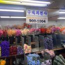 주말 오전 람찌와 창동역 토스트 먹고 강북꽃도매상가 다녀온 후기!