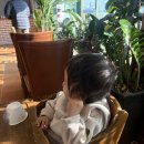 백합유치원 | 대부도 바르미 백합 칼국수_내 돈 내산 후기+대부도 해수욕장