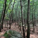 6경기광주 문형산 등산코스 후기｜정상 찍고 두리봉