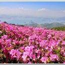 산곡하이웨이주유소 이미지