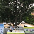 평화상조