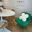 리빙블링 | [리빙] 이케아 추천템 뒤블링에 그린 2달 사용 후기, 오늘의집 구매, 이케아 고양점 뒤블링에 재고 및 가격