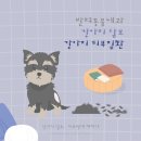 더블유동물의료센터 이미지