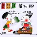 꿩대신닭 이미지