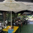 호두나무집식당 | 남한산성 애견동반 계곡식당 호두나무집 대형견과 당일치기 여름힐링 휴가 내돈내산 후기