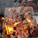 일랑일랑 애견캠핑 인제주 이미지