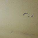 청계유치원 이미지