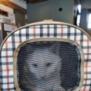 진해동물의료센터 이미지