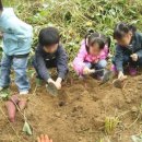 밤두둑마을 이미지