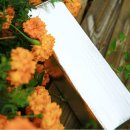 농업회사법인 (주) 대덕 이미지