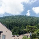 알밤오름하우스 이미지