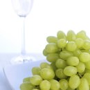 동덕여자대학교 비만미용향장대학원 이미지