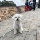 몽베이 이미지