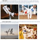 TOP태권도 이미지