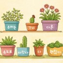 GS25우만아주로점 이미지