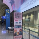 오덕로217-2 앞 | 진에어 도쿄행 탑승 후기 LJ217, LJ218 좌석 수화물 배터리 규정까지