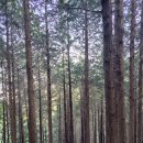 황령산유원지 생태숲 | 황령산 둘레길 탐색, 코스3/N-1 (황령산유원지생태숲~금련산청소년수련원)