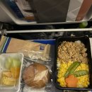 워싱턴모텔 | [미국 플로리다 올랜도#1] 유나이티드 항공 이코노미, 워싱턴 달라스 환승, 클룩 esim 후기