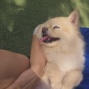 니멍내멍 이미지