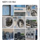 빨다 세탁소 이미지