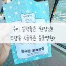 피자헛구미도량점 | 구미 늘푸른 동물병원 실력좋고 친절한 도량 봉곡 동물병원 추천