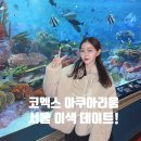 수시코스 | 코엑스 아쿠아리움 예약 서울 이색 놀거리 데이트코스