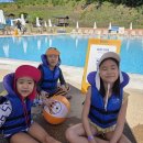 대인수산(주) | 고창 상하농원 파머스빌리지 수영장 후기