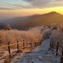 앙상블(ensemble) 이미지