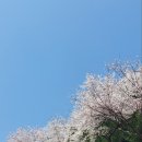 최진아법무사사무소