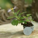 수월초등학교 이미지