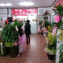 태흥농장 이미지