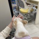 달빛네일살롱