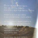 남자운동화 아키 클래식 범퍼 트레이너 후기