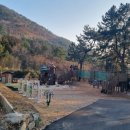 숲속에는 | 여수 봉황산 자연휴양림 숲속의 집 이용 후기 - 야영장 데크 정보