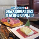 11305-17-251-2 | 도쿄 근교 소도시 가마쿠라 에노시마 맛집 야키니쿠 폰가 후기